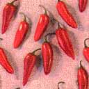 Red Pepppers